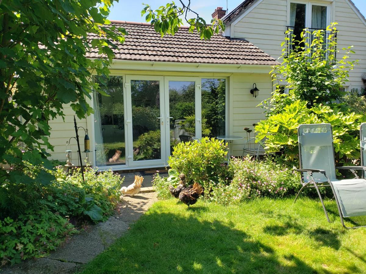Luxury Self Catering With Cosy Cabin & Sauna In 科尔切斯特 外观 照片